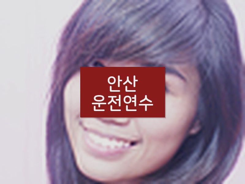 안산운전연수 후기
