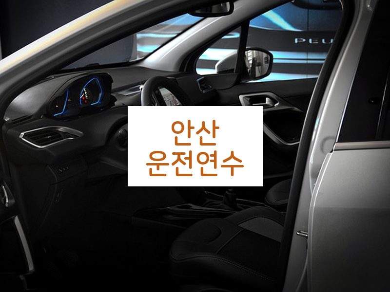 안산운전연수 후기