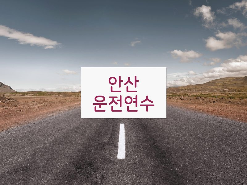 안산운전연수 후기