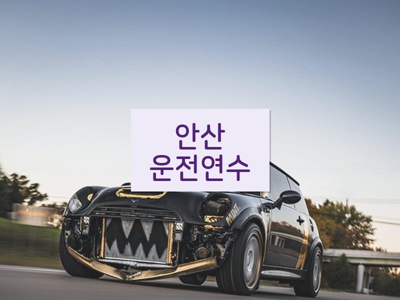 안산운전연수 후기