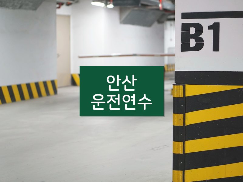 안산운전연수 후기