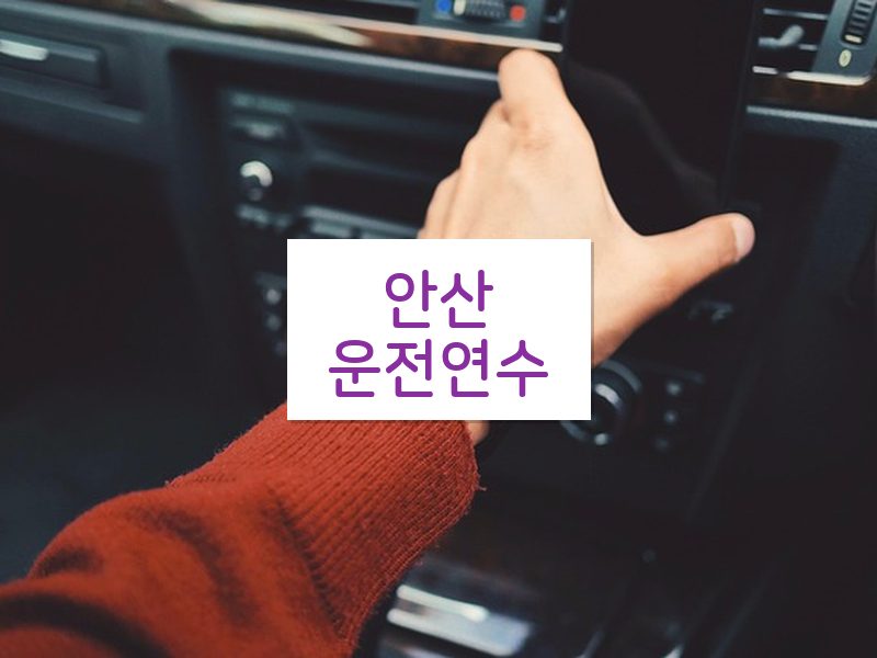 안산운전연수 후기