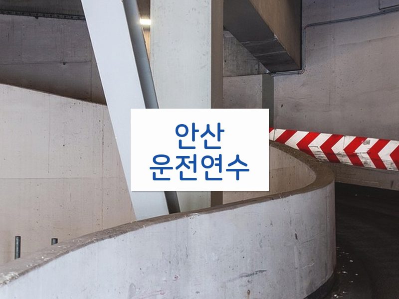 안산운전연수 후기