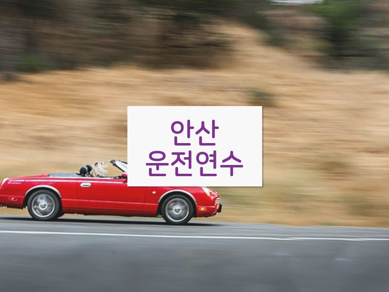 안산운전연수 후기