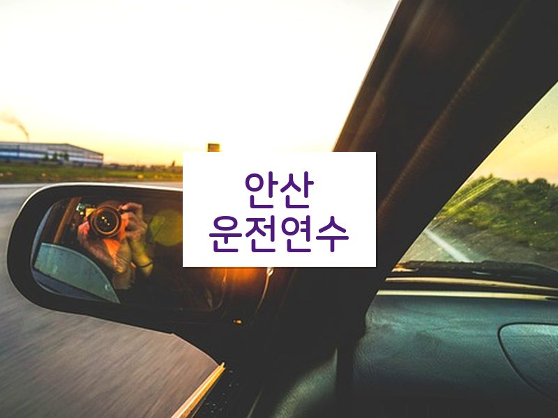 안산운전연수 후기
