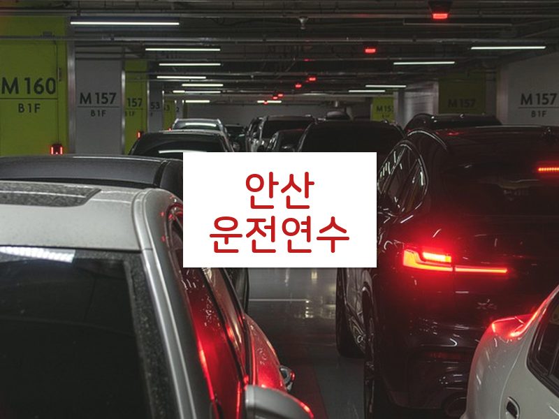 안산운전연수 후기