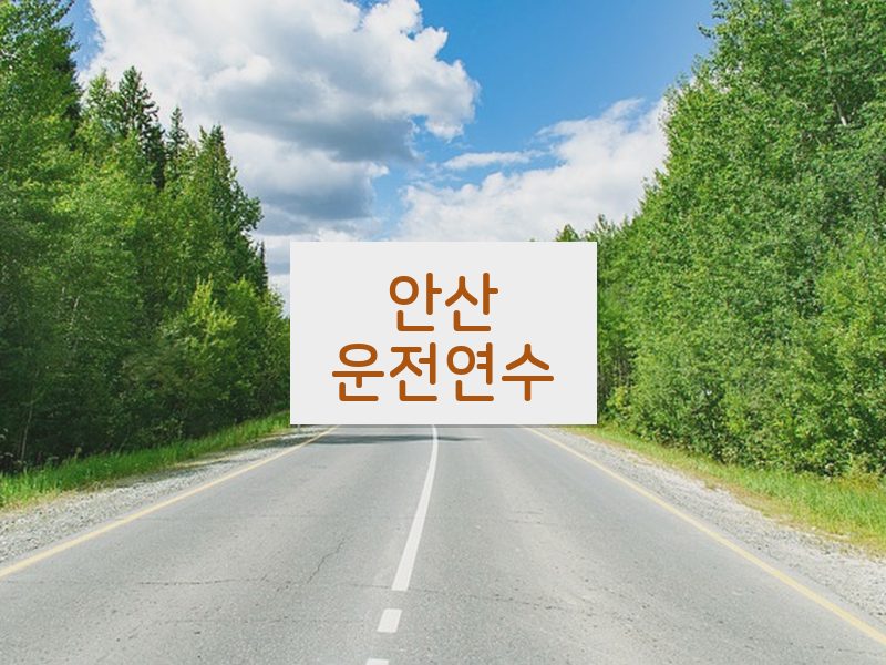 안산운전연수 후기