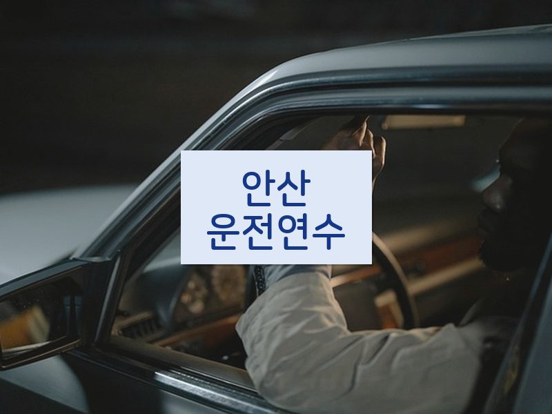 안산운전연수 후기