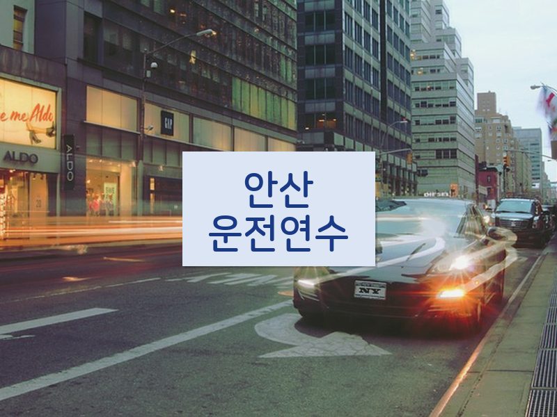 안산운전연수 후기