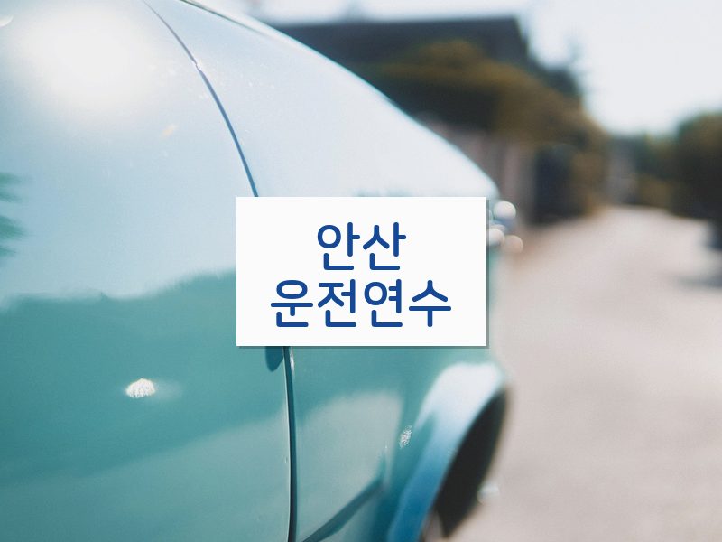 안산운전연수 후기