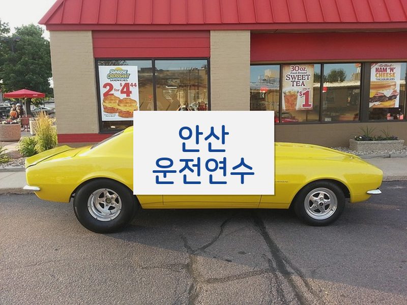 안산운전연수 후기