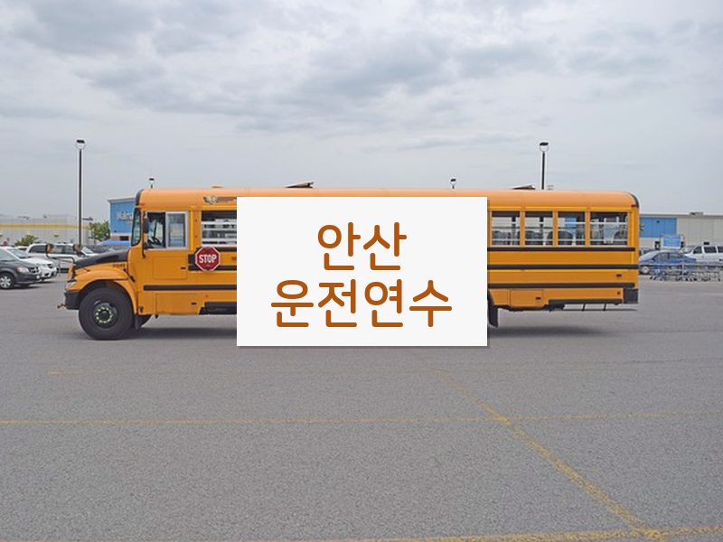 안산운전연수 후기