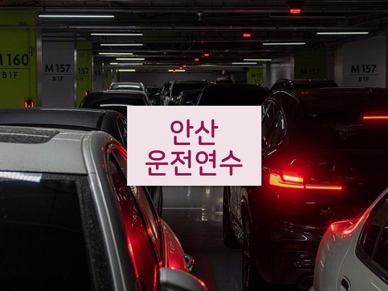 안산운전연수 후기