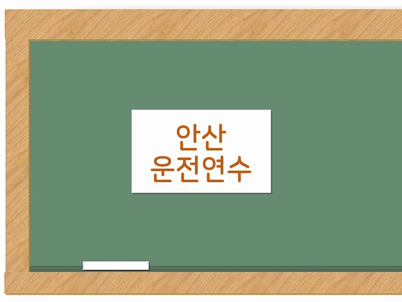 안산운전연수 후기