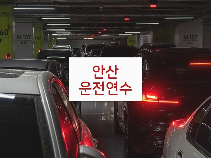 안산운전연수 후기