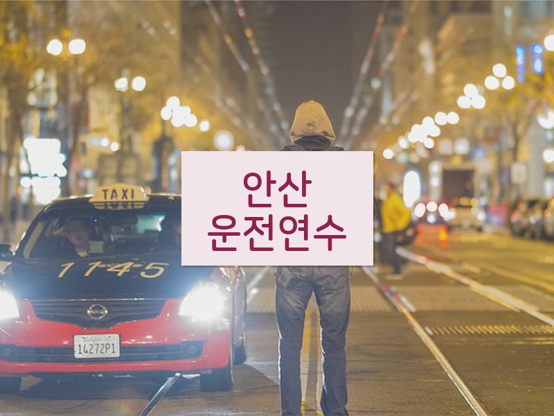 안산운전연수 후기