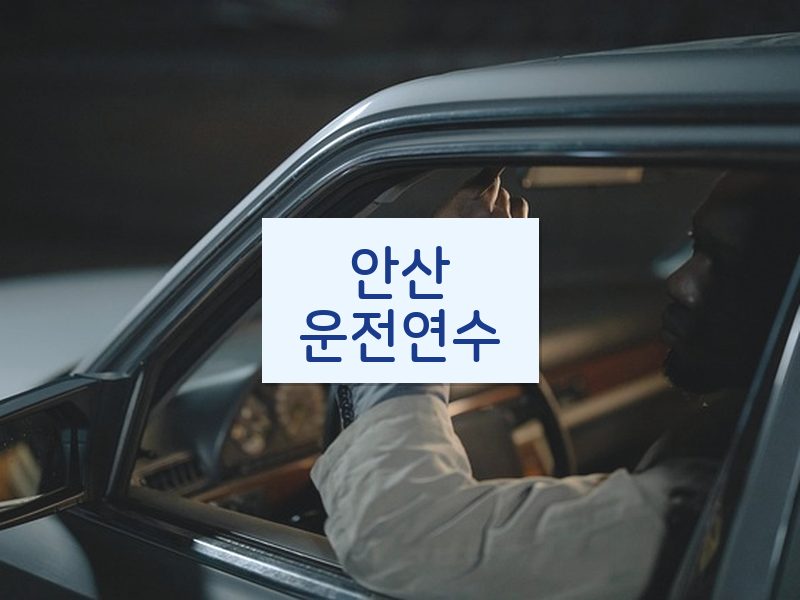 안산운전연수 후기