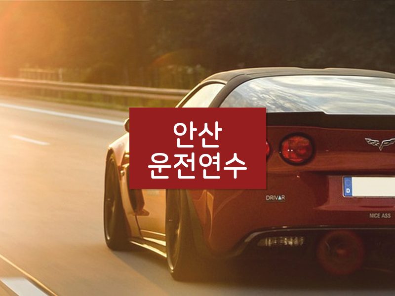 안산운전연수 후기