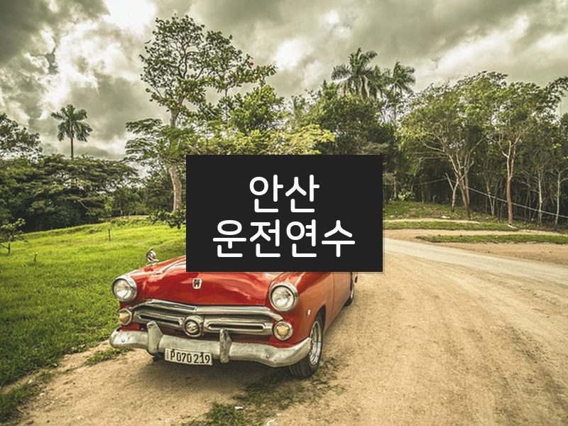안산운전연수 후기