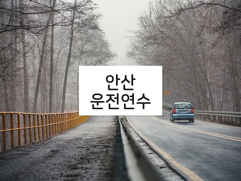 안산운전연수 후기