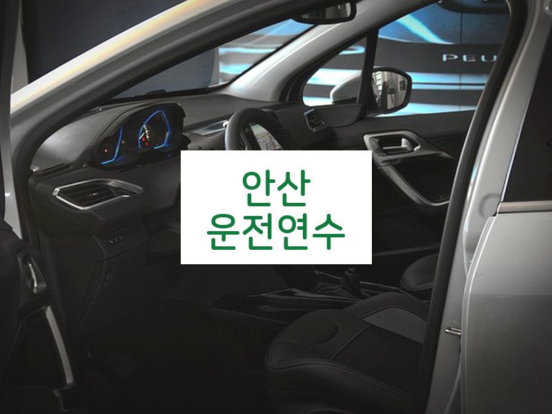 안산운전연수 후기
