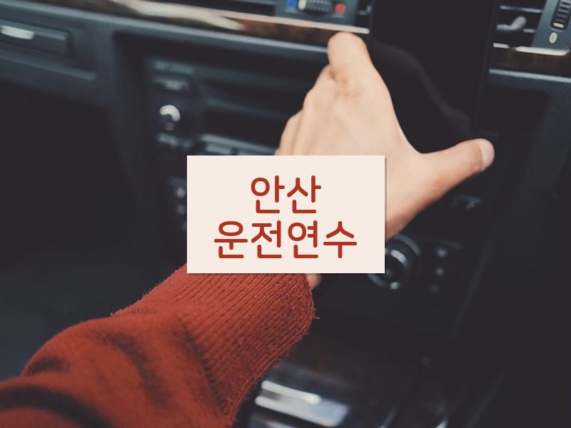 안산운전연수 후기