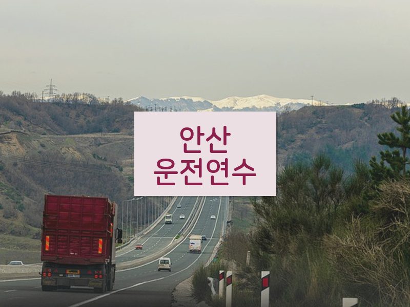 안산운전연수 후기