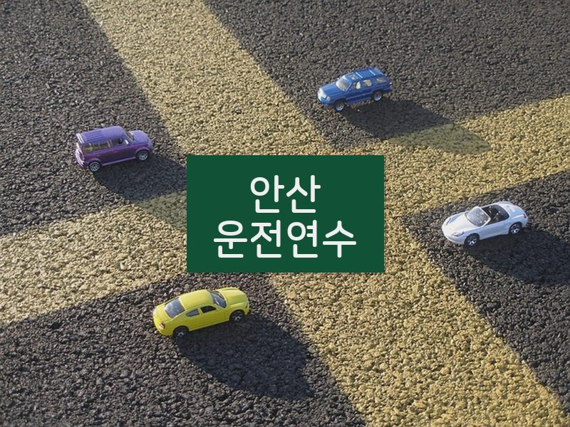 안산운전연수 후기