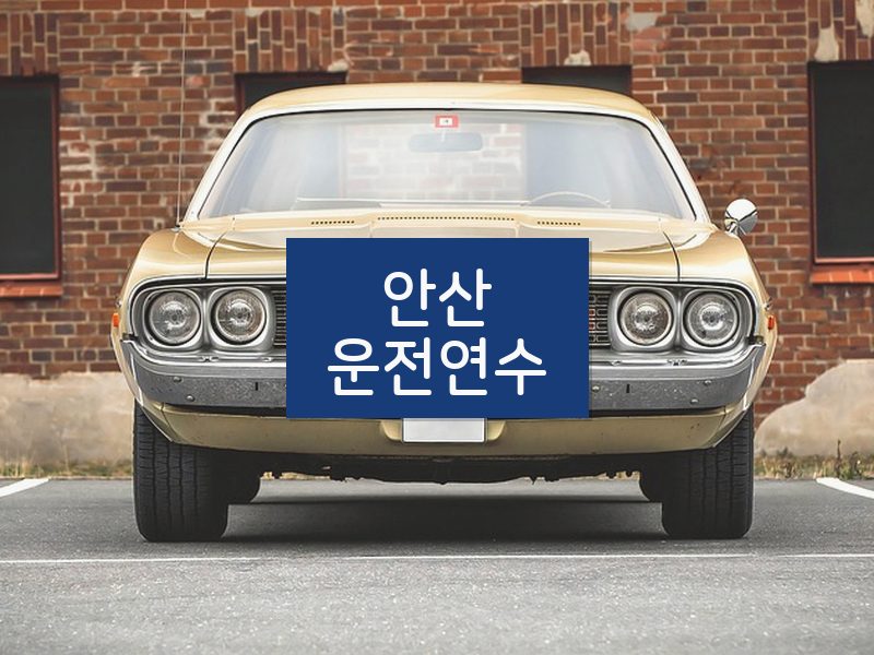 안산운전연수 후기