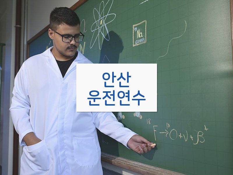 안산운전연수 후기