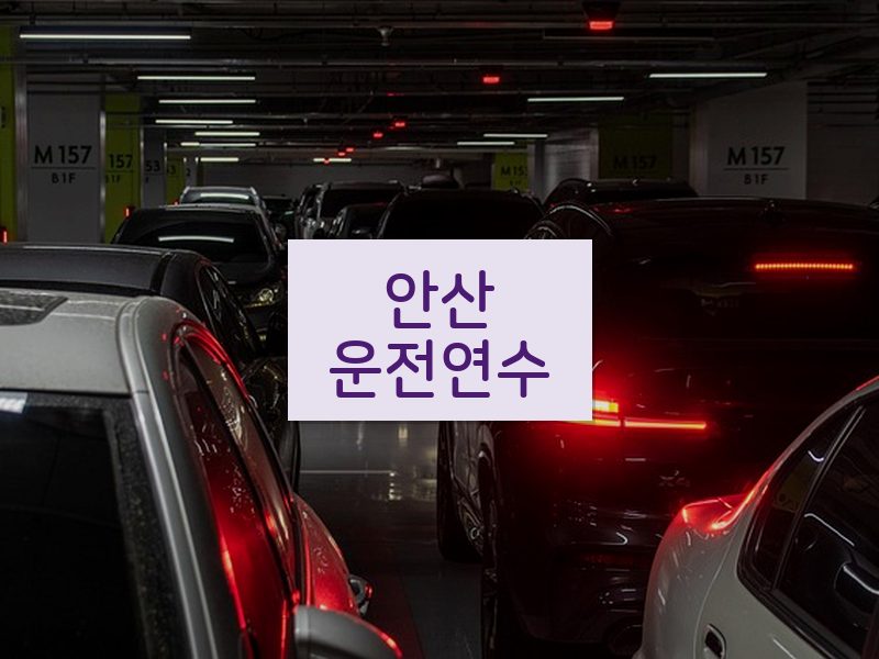안산운전연수 후기