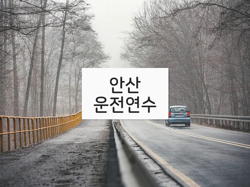 안산운전연수 후기