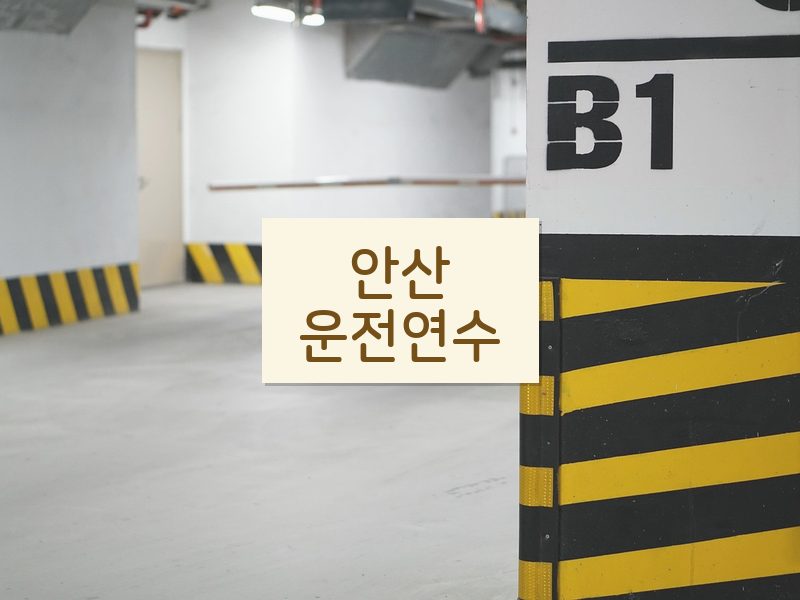 안산운전연수 후기