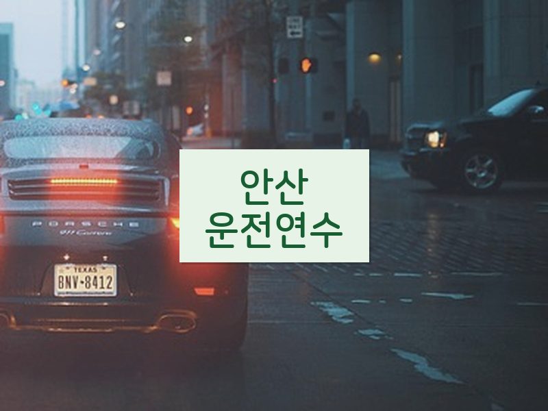 안산운전연수 후기