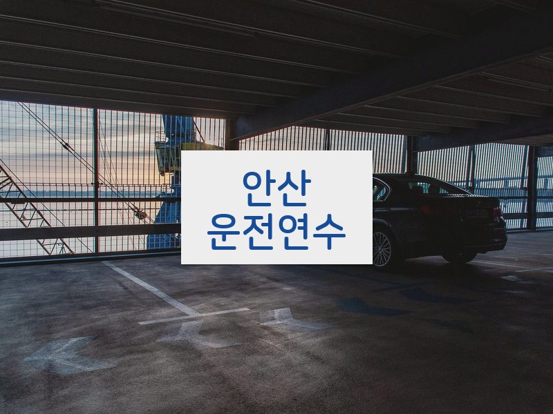 안산운전연수 후기