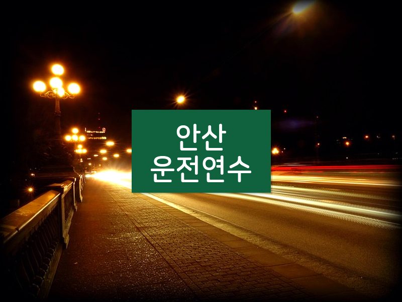 안산운전연수 후기