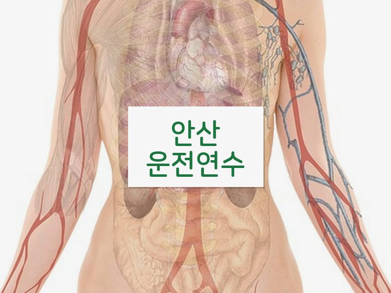 안산운전연수 후기