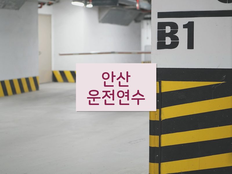 안산운전연수 후기