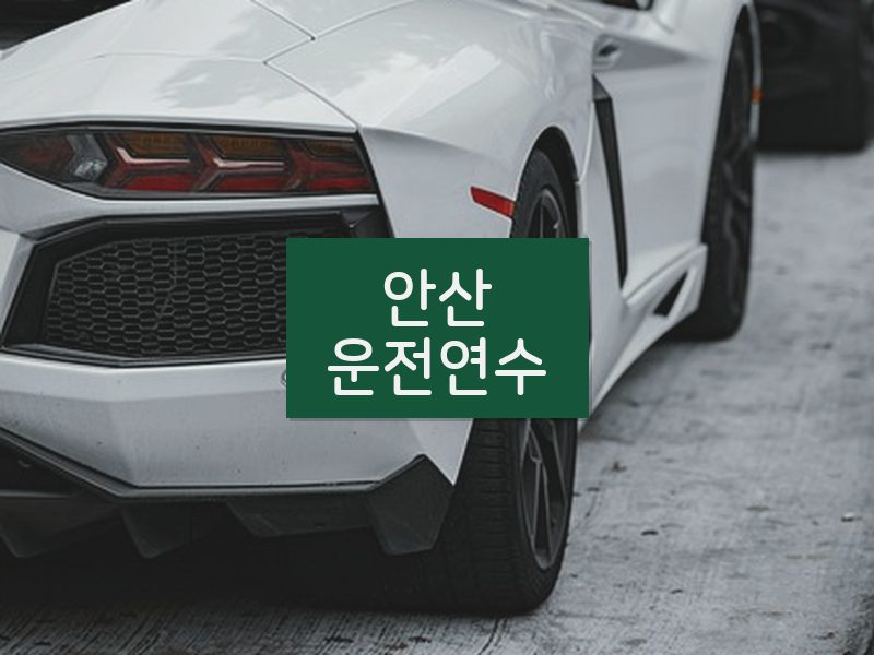 안산운전연수 후기