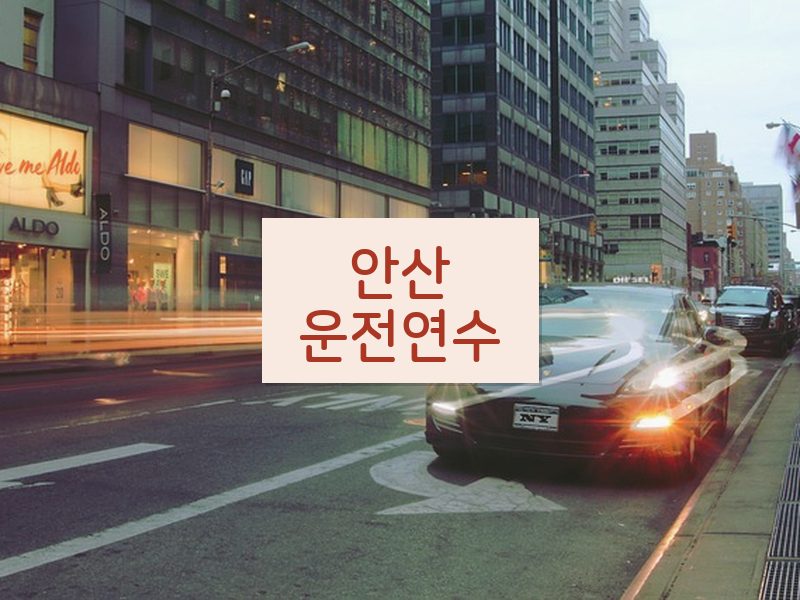 안산운전연수 후기