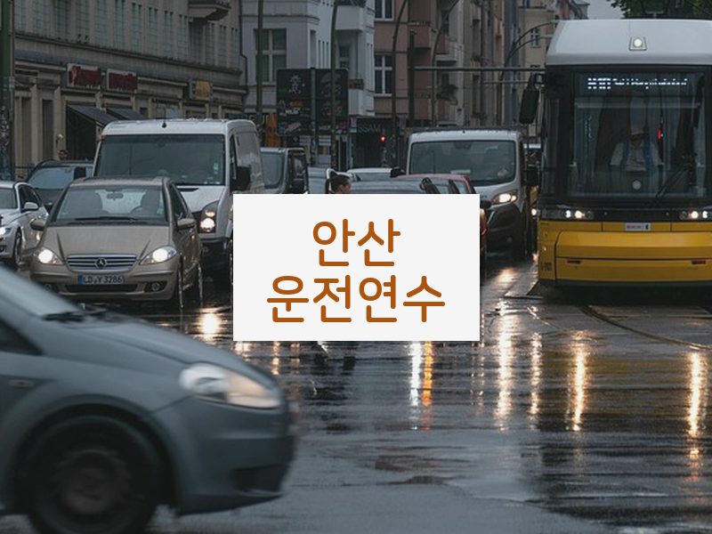 안산운전연수 후기