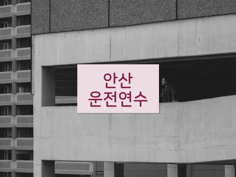 안산운전연수 후기