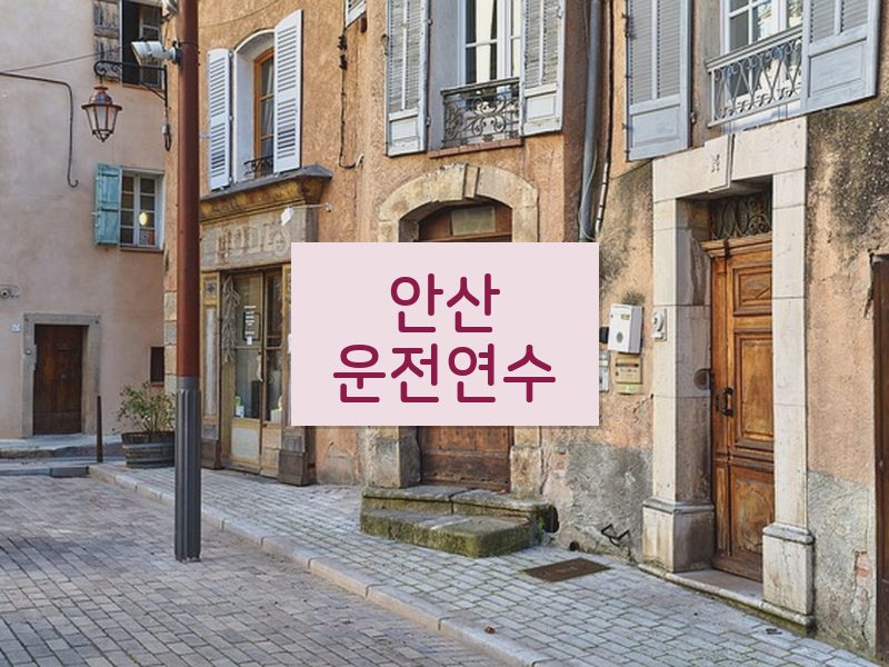 안산운전연수 후기