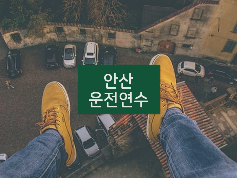 안산운전연수 후기