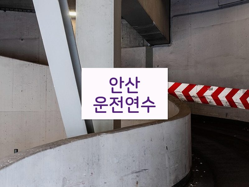 안산운전연수 후기