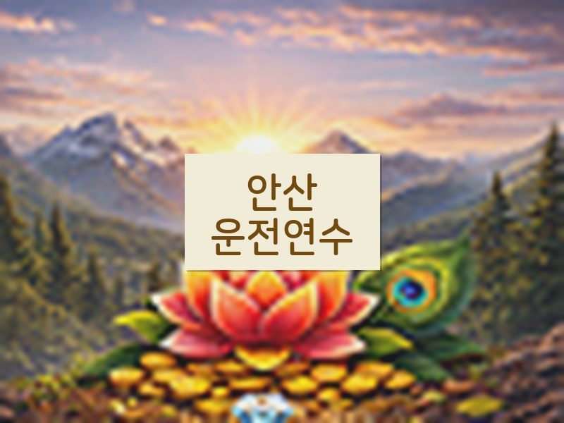 안산운전연수 후기