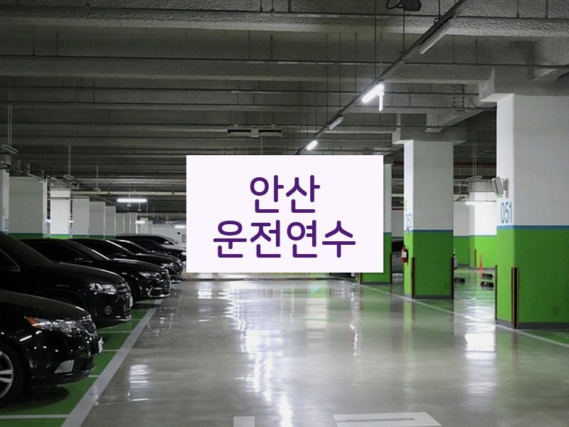 안산운전연수 후기