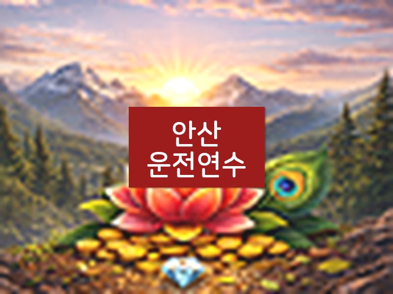 안산운전연수 후기
