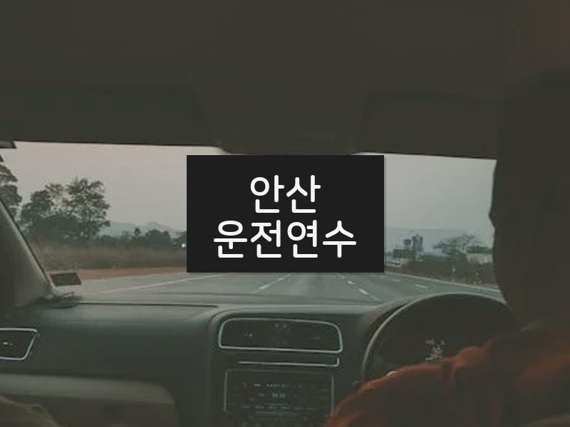 안산운전연수 후기