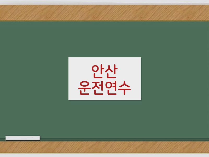 안산운전연수 후기